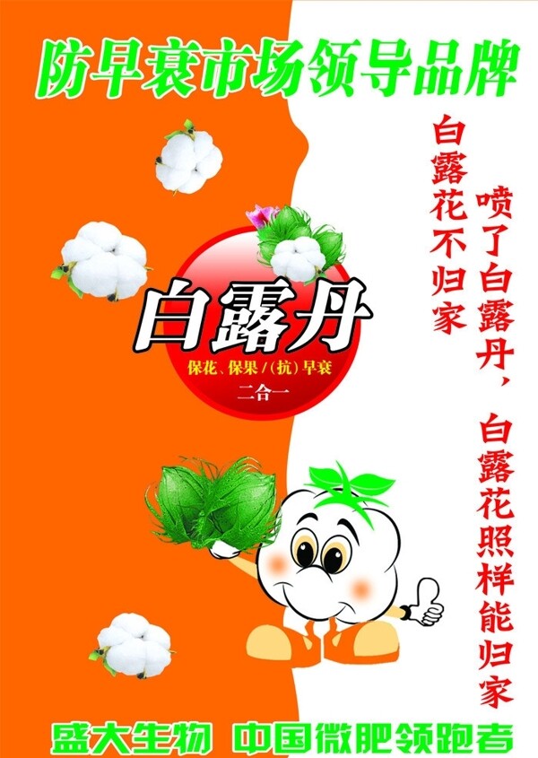 白露丹圖片