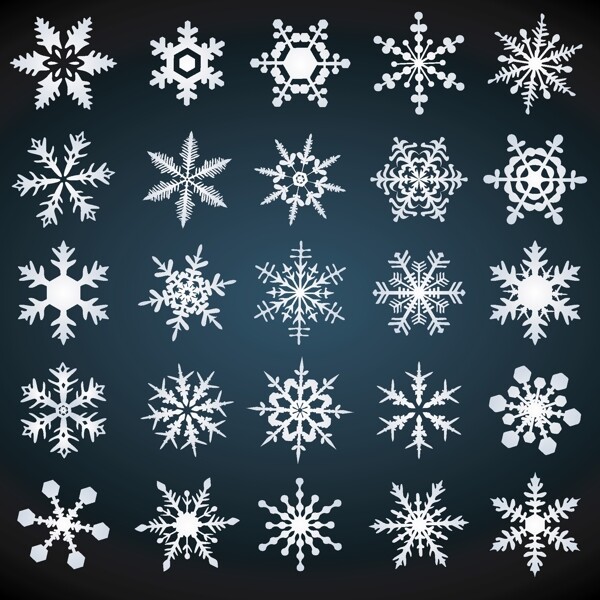 漂亮雪花圖案矢量素材