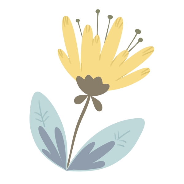 黄色立体花朵插图