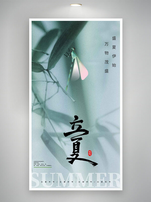 國風(fēng)蜻蜓竹葉背景立夏節(jié)氣海報