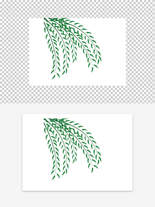 柳樹枝