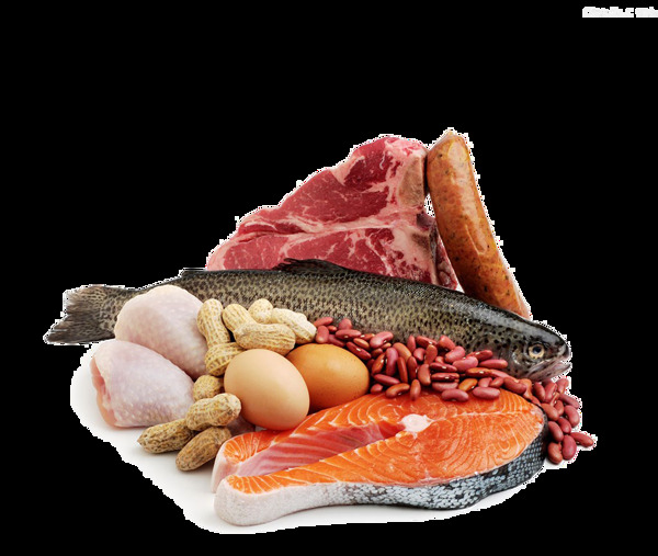 高蛋白食物組合新鮮的三文魚牛肉和雞蛋