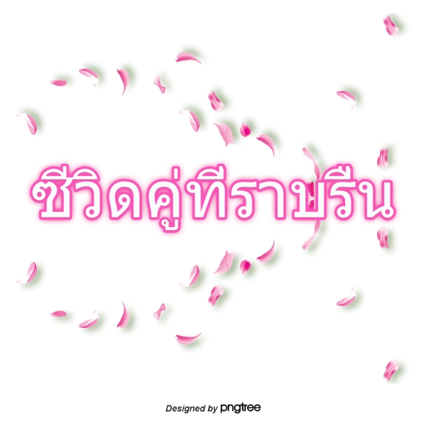 泰国文字字体平滑带宽双蹄花