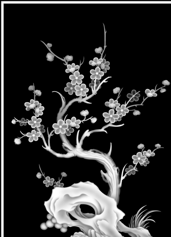 梅花圖片