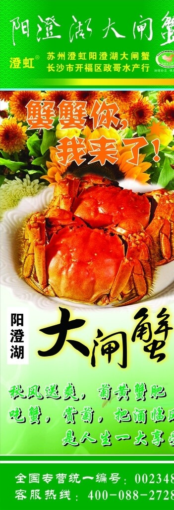 大閘蟹展架圖片