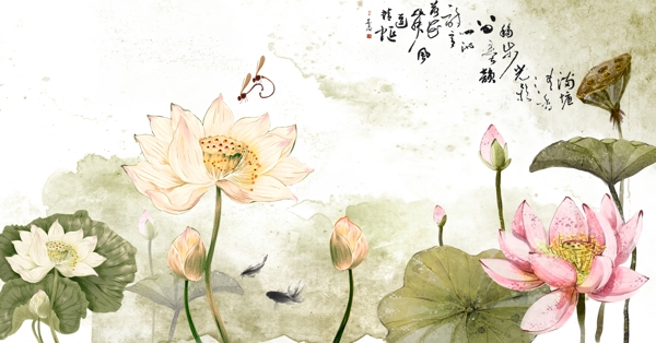 水墨荷花韻