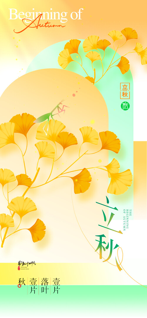 清新简约立秋节气黄色银杏叶插画海报