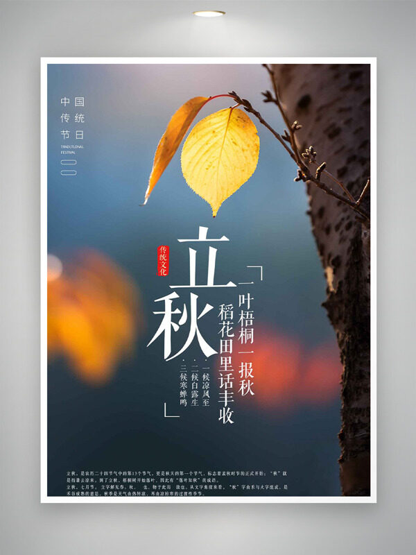 一葉梧桐一報(bào)秋創(chuàng)意攝影背景立秋節(jié)海報(bào)