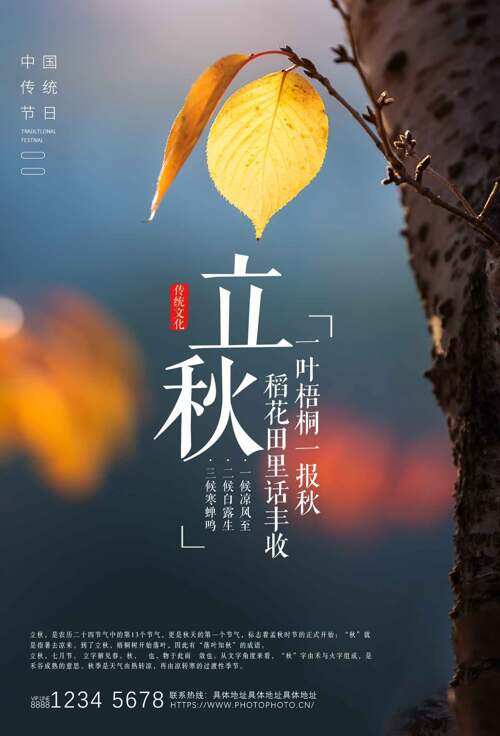 一叶梧桐一报秋创意摄影背景立秋节海报