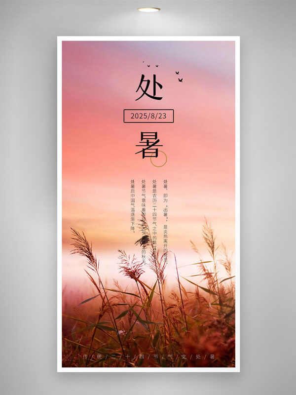 粉色唯美背景蘆葦從處暑節(jié)氣海報(bào)