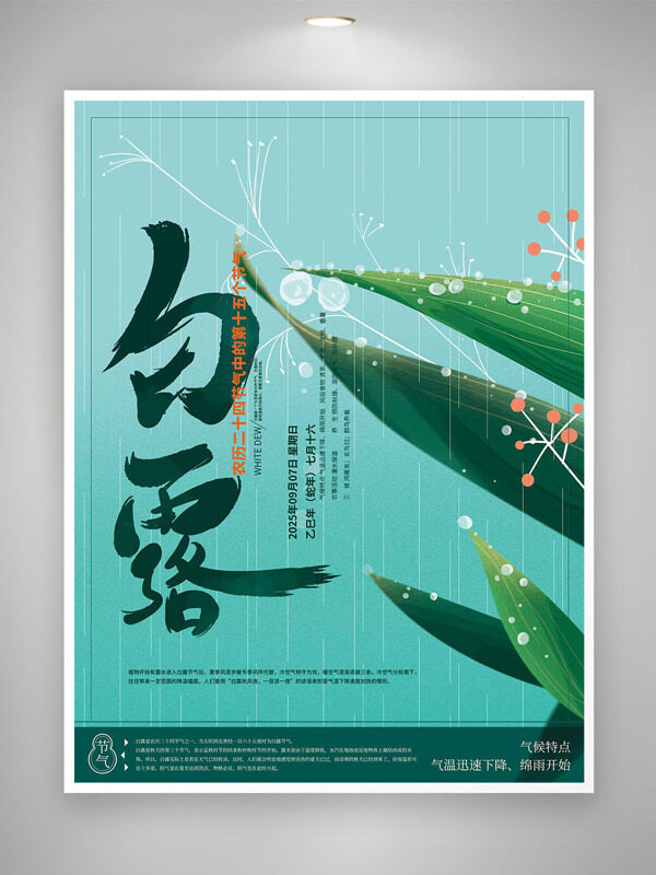 綠色背景露珠自然意象白露節(jié)氣海報