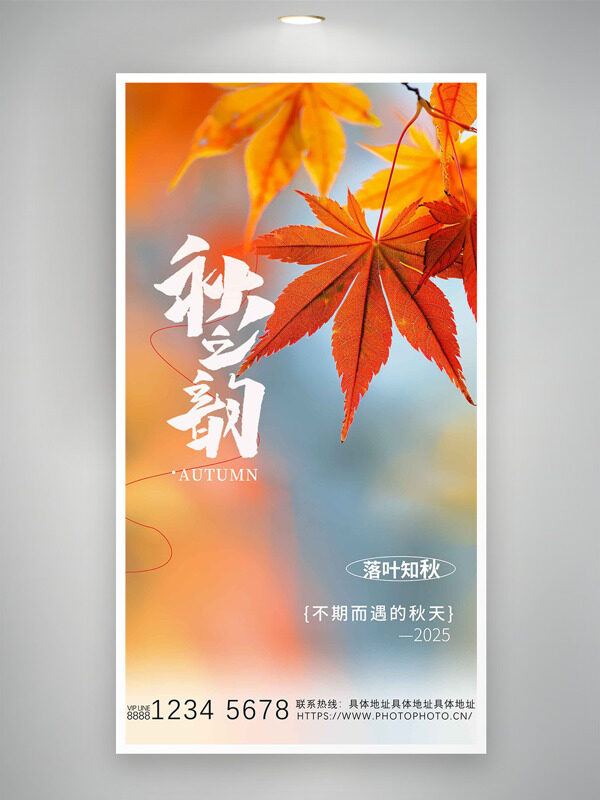 秋之韻紅色楓葉插畫落葉知秋傳統(tǒng)節(jié)氣秋分海報(bào)