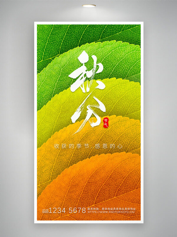 漸變樹葉紋理背景二十四節(jié)氣秋分海報(bào)