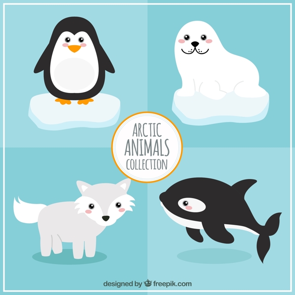 北极动物的集合
