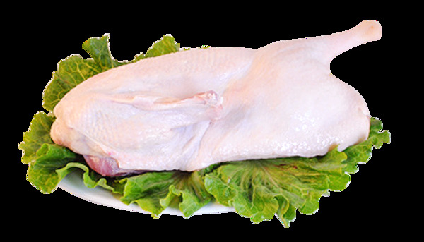 生菜上的新鮮半片生鴨肉