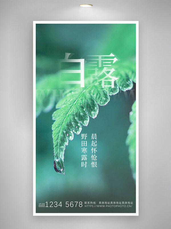 清新植物插畫露珠圖案白露傳統(tǒng)節(jié)氣海報(bào)