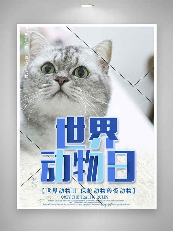 善待動物可愛小貓攝影世界動物日海報