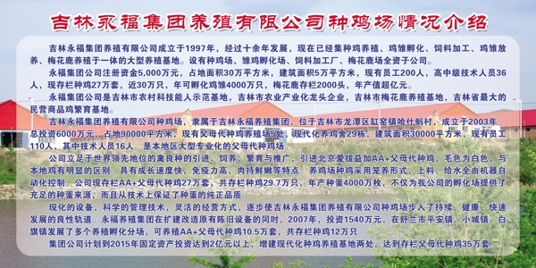 企業(yè)介紹