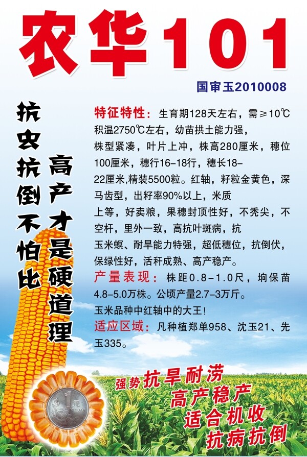 農(nóng)華101圖片