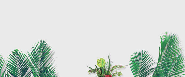 清新綠色植物banner背景素材