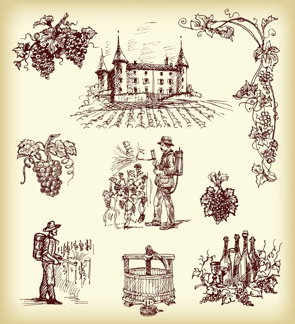 葡萄酒手绘素材图片