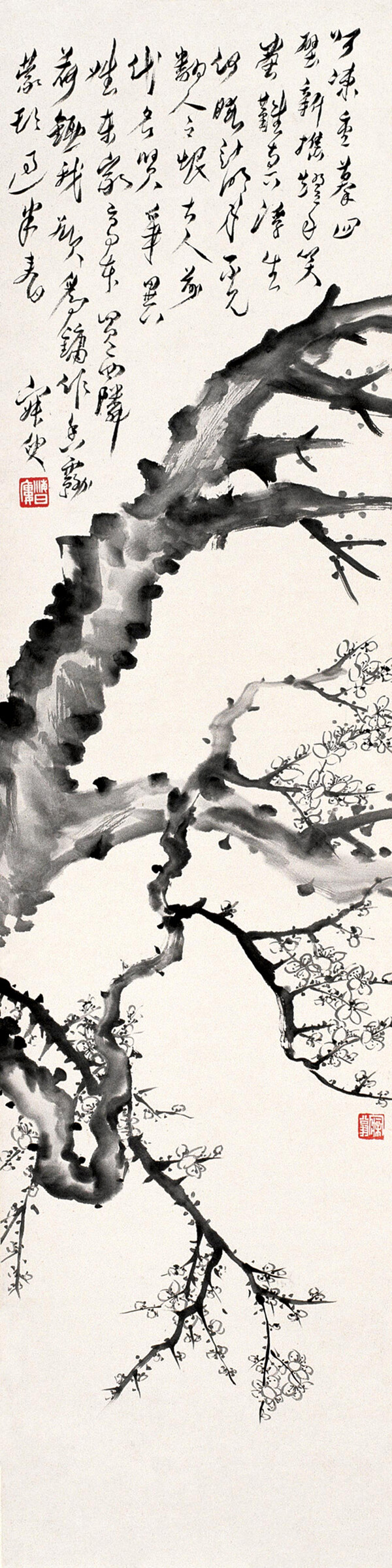 梅花圖片