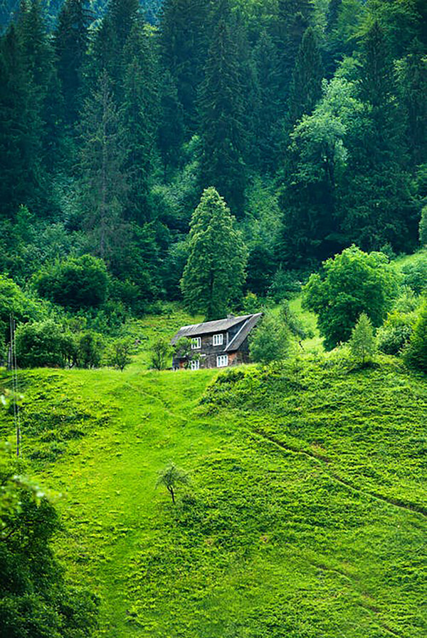風(fēng)景