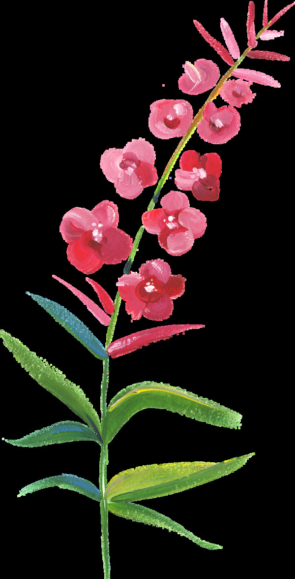 植物桃花透明素材