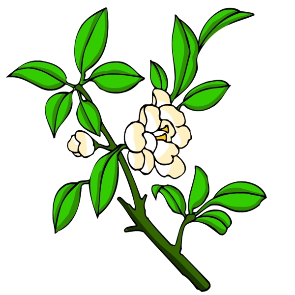 花卉古典插畫