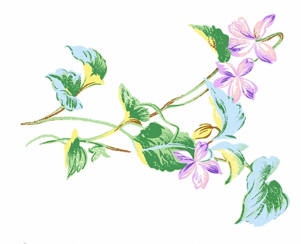位圖成熟優(yōu)雅女裝植物毛衫印花優(yōu)雅植物免費(fèi)素材