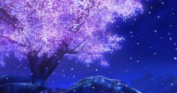 唯美夜晚樱花树下雪