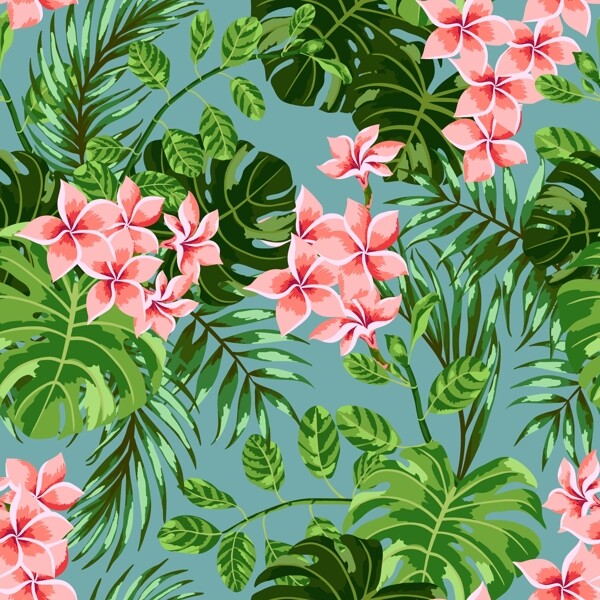 熱帶花朵