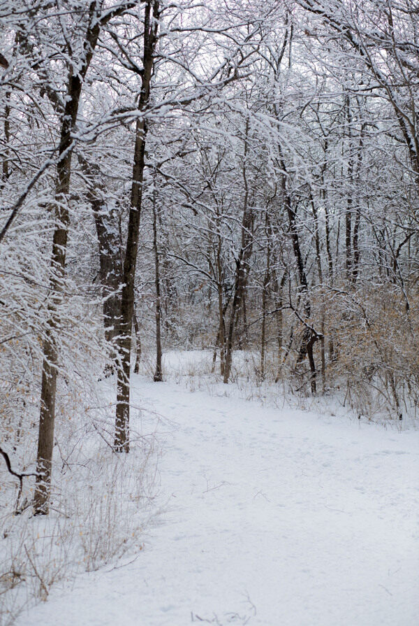数码照片添加冬季雪景PS动作