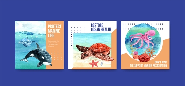 海洋动物卡片