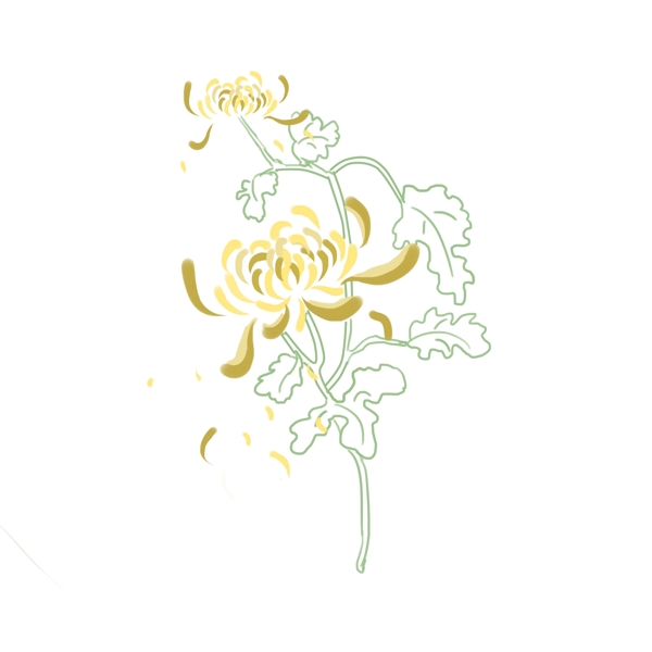 黄色菊花2朵清新元素