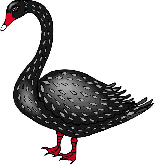 各種鳥類鳥動物矢量素材EPS格式0969