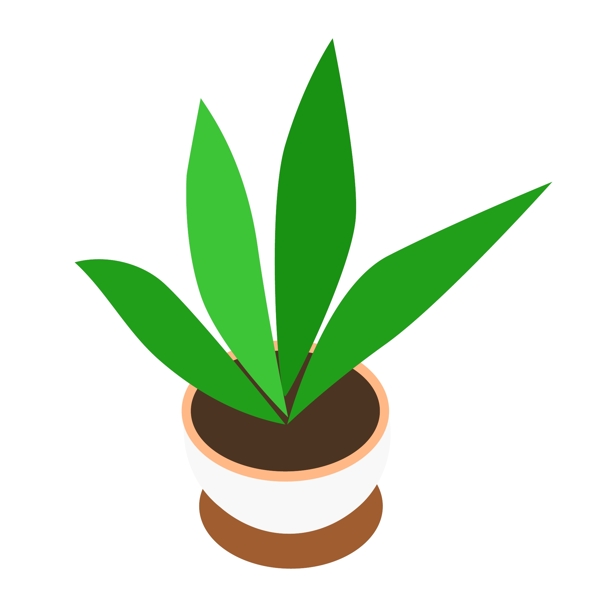 盆栽02