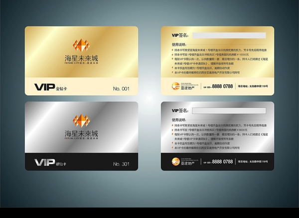 VIP銀鉑卡金磚卡圖片