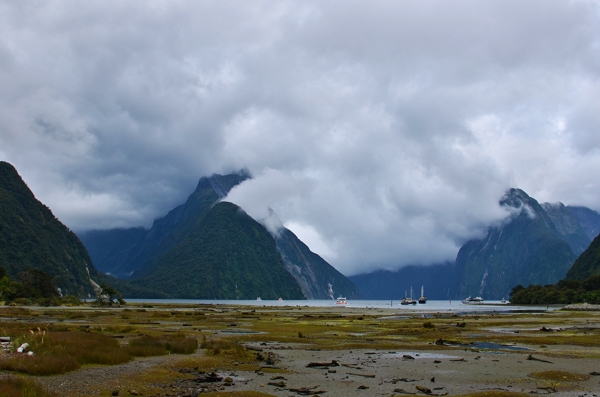 新西兰米尔福德峡湾风景