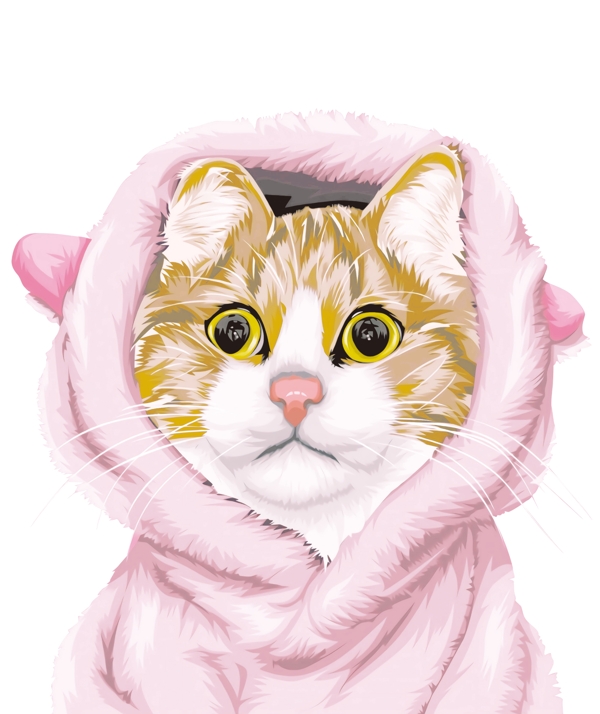 粉帽子猫