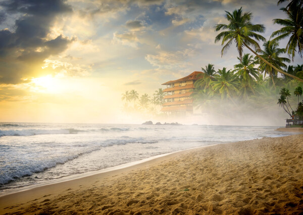 热带海浪棕榈树海滩