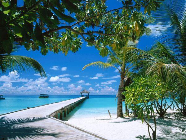 高清马尔代夫沙滩海景