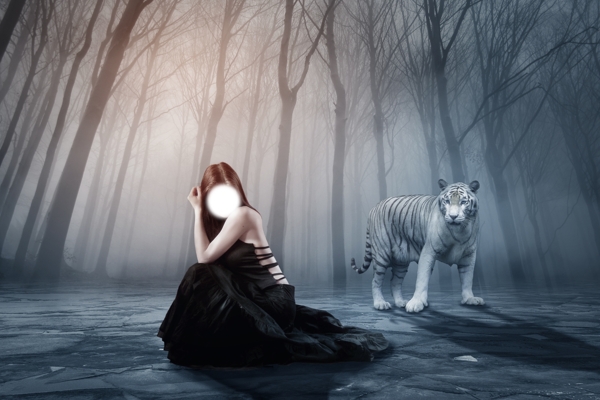 孤独的少女与白虎