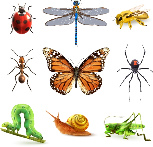 卡通昆虫图标设计图片