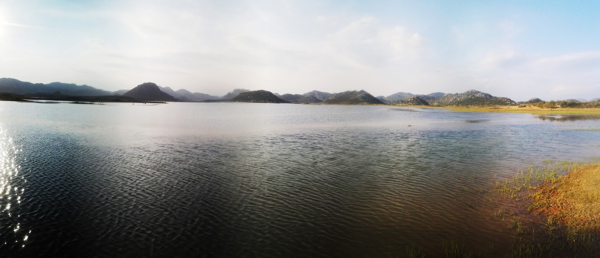 海峰湿地图片