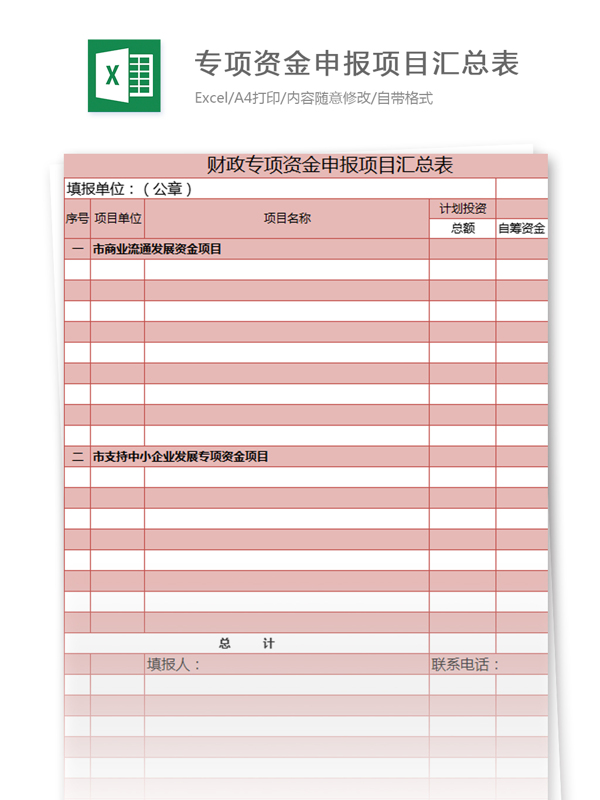 财政专项资金申报项目汇总表excel模板