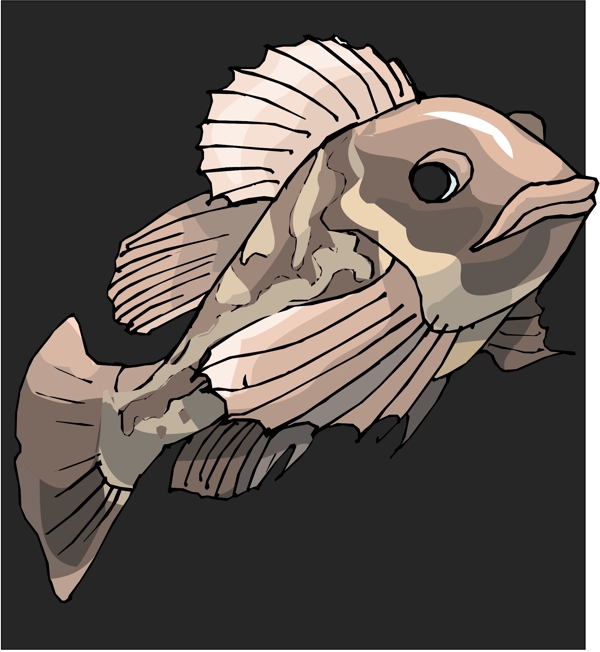 五彩小鱼水生动物矢量素材EPS格式0361