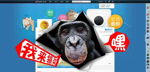 创意网页猩猩界面图片