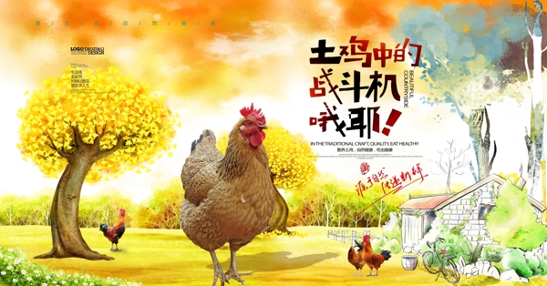 农家土鸡美食海报