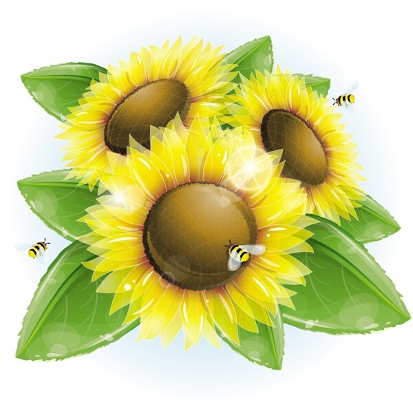 精美葵花与蜜蜂矢量素材